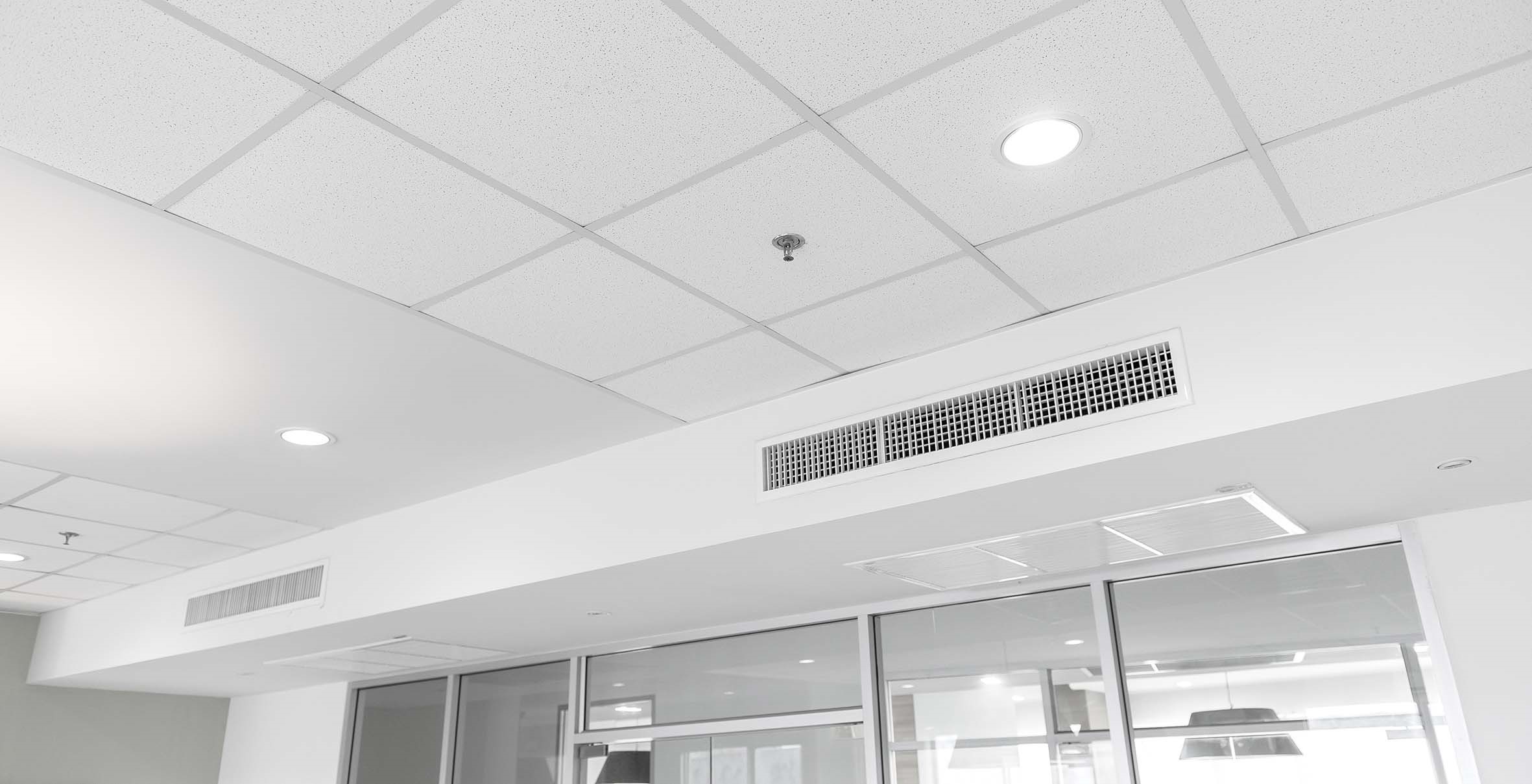 Ceiling Work